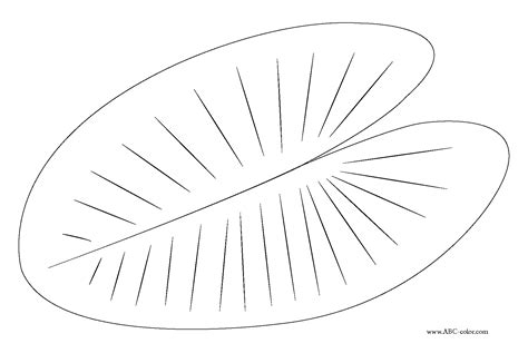Not only lily pad outline, you could also find another pics such as lily pad template, lily pad cartoon, lily pad drawing, lily pad clip art, lily pad printable, lily pad pattern, lily pad stencil, lily pad print out, lily pad shapes, lily pad flower drawing, lily pad coloring, and frog lily. Water Lily PNG Black And White Transparent Water Lily ...