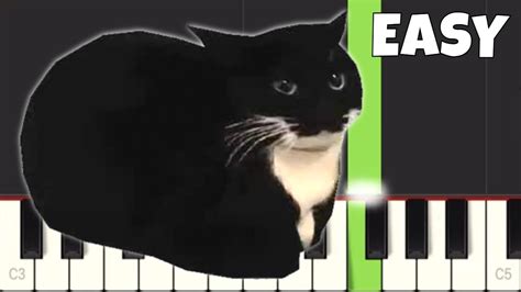 Maxwell The Cat Theme Song Easy Piano Tutorial Youtube