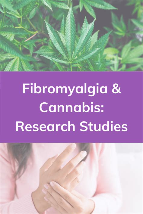 Fibromyalgia And Cannabis Research Studies Dr Michele Ross