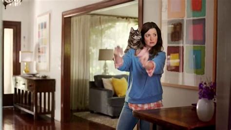 Meow Mix Irresistibles Tv Commercial Cat Dance Ispottv