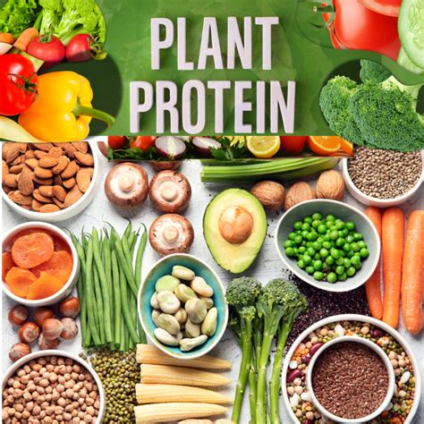 The Benefits Of Plant Protein Super Supplement