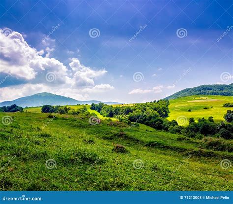 Trees Near Meadow In Mountains On Hillside Under Cloudy Sky Stock Photo