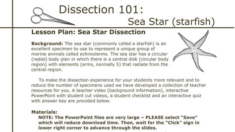Dissection 101 Sea Star Dissection Lesson Plan Pbs Learningmedia