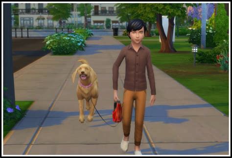 Kids Can Go For A Walk With Dogs At Littlemssam Sims 4 Updates