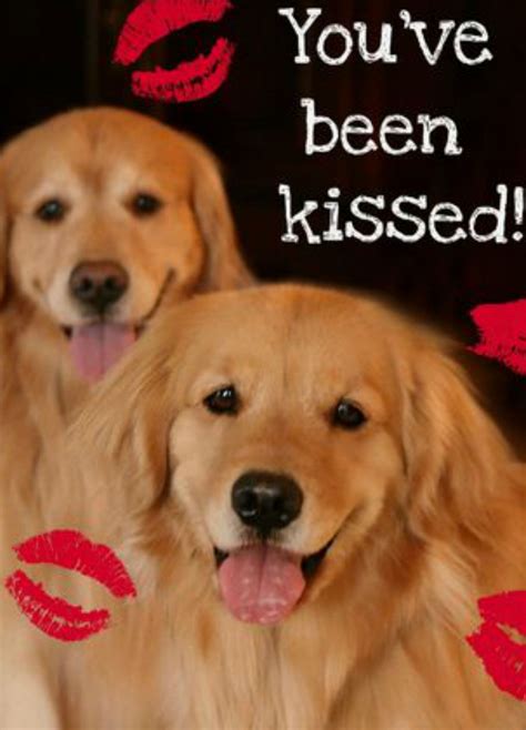 Golden Retriever Valentines Day Kisses Holiday Card