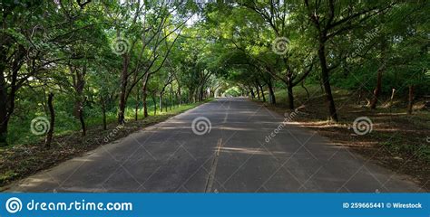 Long And Straight Road With A Grove Of Trees In The Suburbs Of Managua