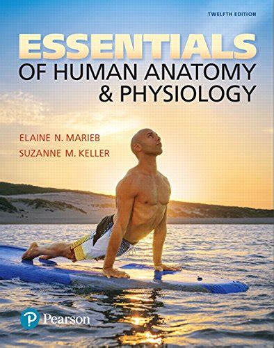 Essentials Of Human Anatomy And Physiology Textbooks Slugbooks