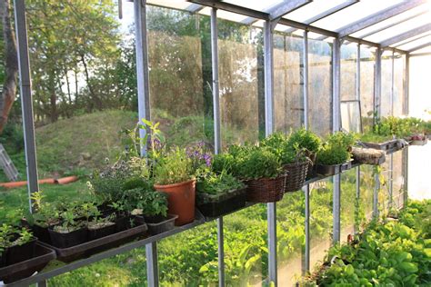 Best Greenhouse Shelving The Green Garden Life