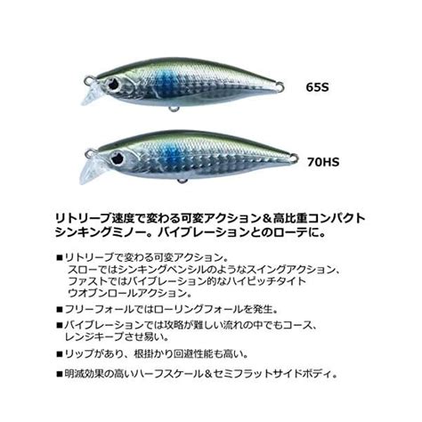 Daiwa Minnow Sea Bass More Than Gluebin 65S 3D Inakko Lure F S W