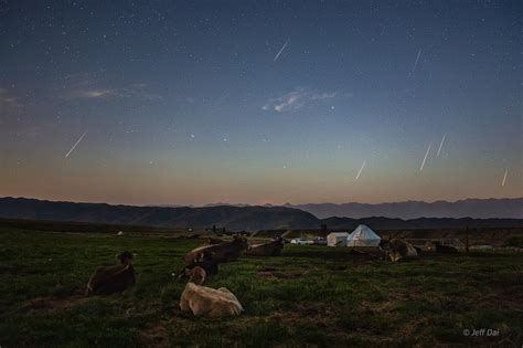 حصلت شهب البرشاويات (perseid) على اسمها بسبب المكان الذي تظهر منه في سماء الليل، وهي كوكبة فرساوس أو برشاوس (perseus). | 2019 | أغسطس | 15 | شهب البرشاويات والدب الأكبر | الصورة ...