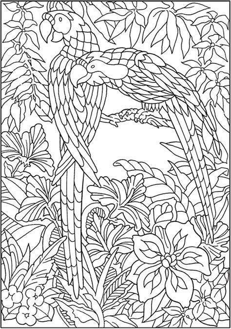 Welcome To Dover Publications Jungle Coloring Pages Bird Coloring