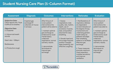 1000 Nursing Care Plans The Ultimate Guide And Database For Free In
