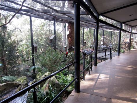 Interior Of The Parrot Walk Through Aviary Zoochat