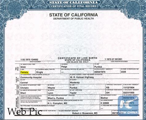 What Does A Birth Certificate Look Like World Of Printable And Chart