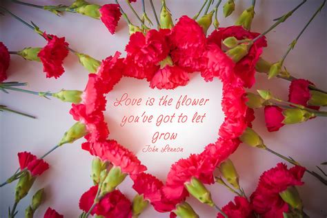 Love Is The Flower You Ve Got To Let Grow Photograph By Oneiroi Photography Fine Art America