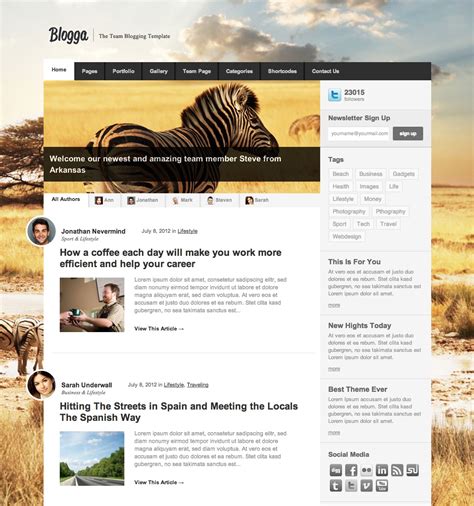 Top Wordpress Templates For Blogs With Responsive Design