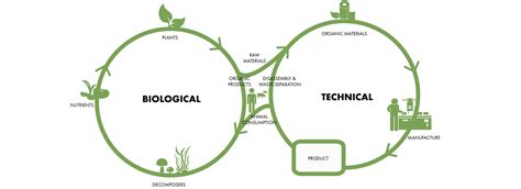 Design For Circular Economy Sos School Of Sustainability