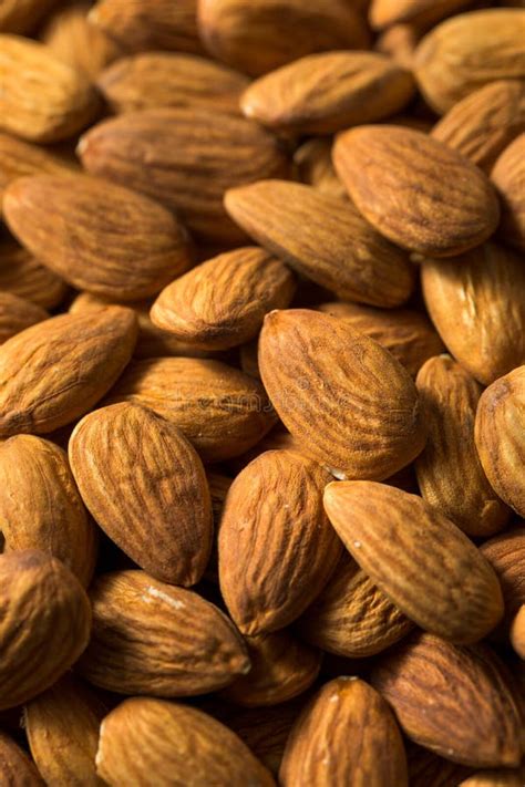 Raw Organic Shelled Almonds Stock Photo Image Of Tasty Nutrition