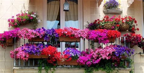 Best Designs For Balcony Gardening — Homebnc