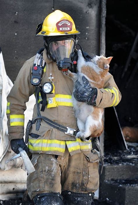 Firefighter Rescues Cat From Apartment Fire Cats Cats Kittens Cute Cats