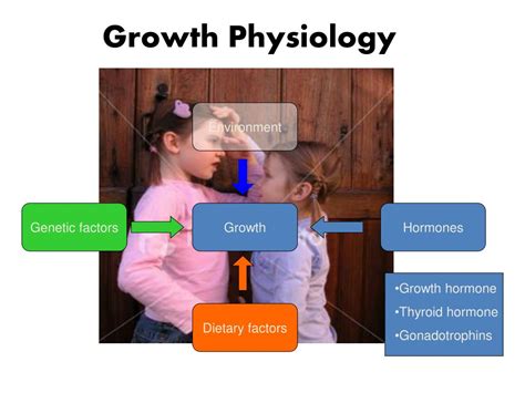 Ppt Approach To A Child With Short Stature Powerpoint Presentation