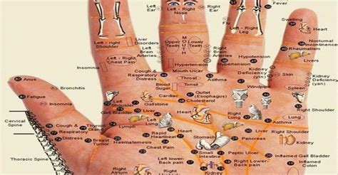 Acupuncture Points On The Hand Chart