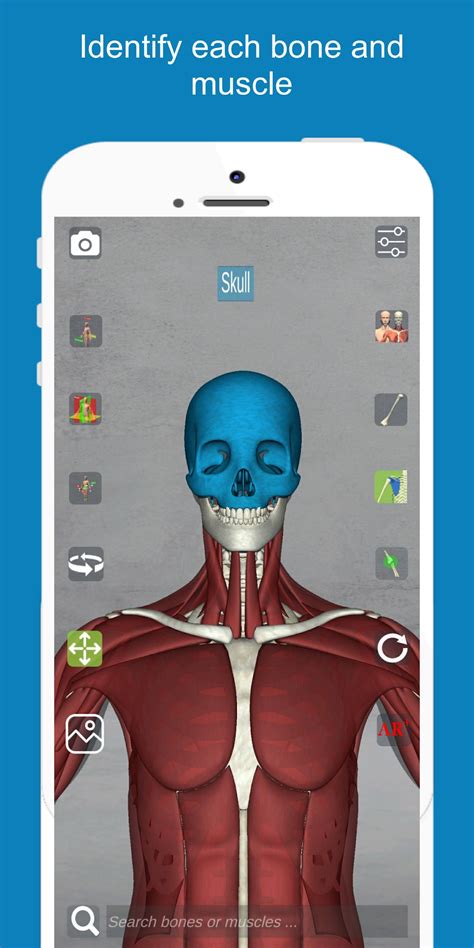 Corporis Anatomy Interactive 3d Human Body Atlas Para Android Download