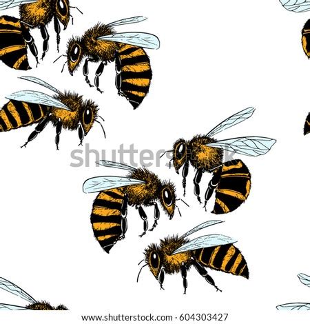 See more ideas about bee drawing, honey bee drawing, drawings. Vector Seamless Pattern Hand Drawn Honey Stock Vector ...