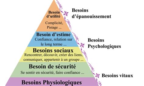 Pyramide Des Besoins Basezen Attitude
