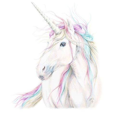 Sketch unicorn with pencil through our step by step tutorial or watching video tutorial, quickly learn pencil drawing of unicorn. 1,137 Likes, 20 Comments - Unicorns ...