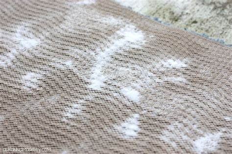 We did not find results for: How to Remove Urine Smell from Carpet | Carpet smell, Rug ...