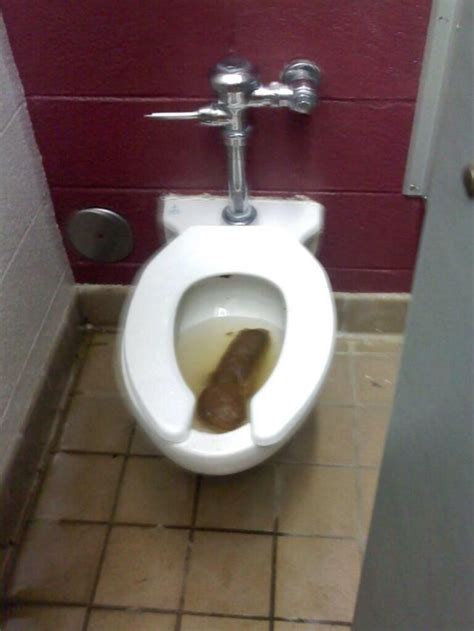 This Incredibly Large Poop My Friend Took In Highschool Didnt Poop