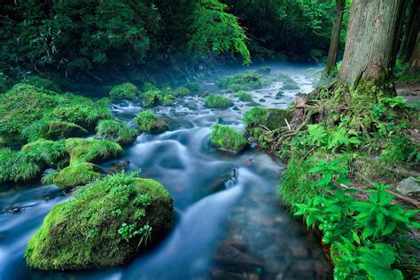 River Nature Landscape Water Green Plants Wallpapers Hd Desktop