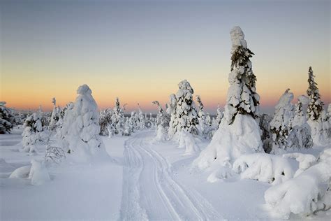 Eisiges Lappland Foto And Bild Europe Scandinavia Finland Bilder Auf