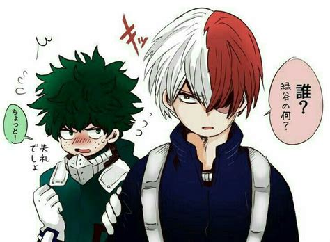 Todoroki Shouto And Midoriya Izuku My Hero Academia My