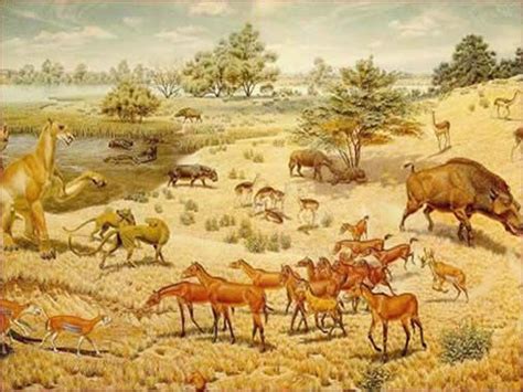 Tertiary Period Cenozoic Era Prehistoric World Prehistoric Animals