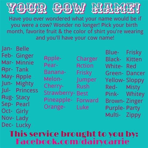 Cow Names Bucket Calf4 H Pinterest