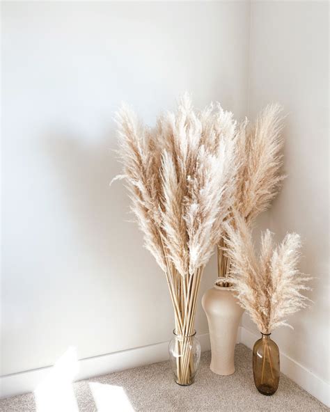 Pampas Grass Im Completely Obsessed Perfect Addition To Any Room