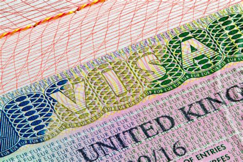 work visas and migrant workers in the uk migration observatory the migration observatory
