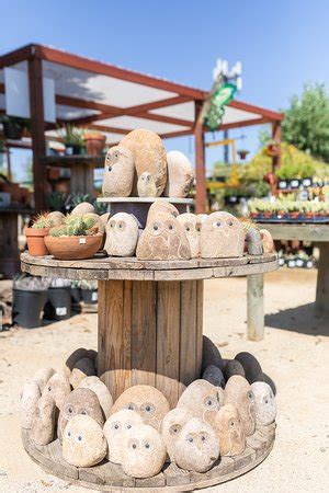 The Secret Garden (Sacramento, CA): Hours, Address - Tripadvisor