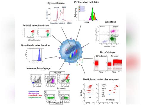 Flow Cytometry Applications I2mc Inserm