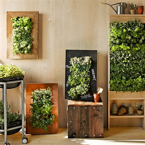 Easy Ways To Create A Vertical Garden Wall Inside Your Home