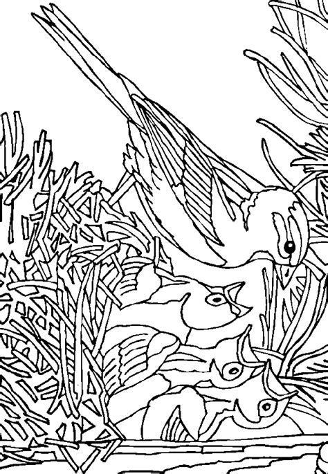 Download Sparrow coloring page - Animals Town - Animal color sheets ...