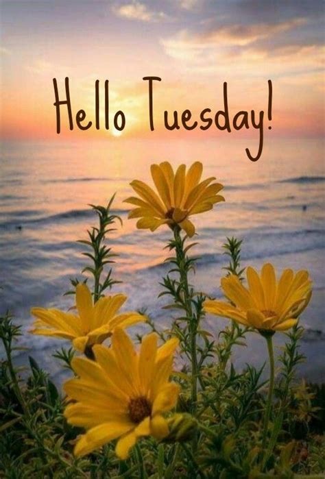 Happy Tuesday Coastal Lovers ~ Tuesday Quotes Good Morning Hello