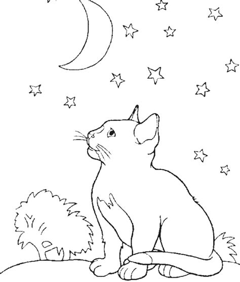 Luxury Cat and Moon Coloring Pages - NiColoring