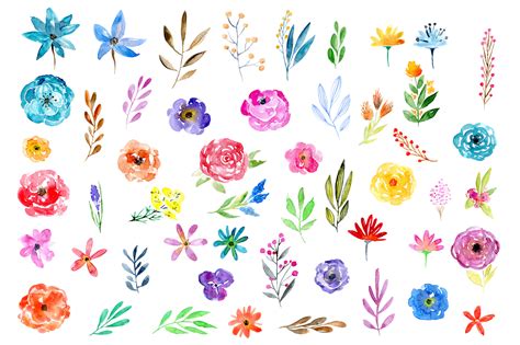 51 Watercolor Floral Elements Png 21210 Illustrations Design Bundles