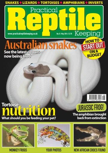 Practical Reptile Keeping Magazine No61 Australian Snakes Back Issue