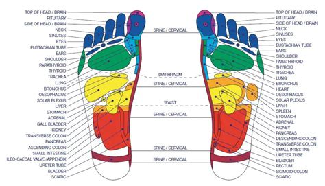 Foot Pressure Points 15 Reflexology Pressure Points To Boost Your Health