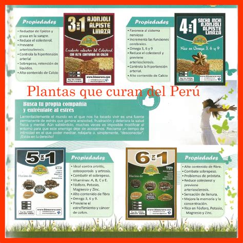 Repone el hierro en la sangre evitando y sanando la anemia. Plantas que curan del PERU : Los CINCO mini tips para la ...