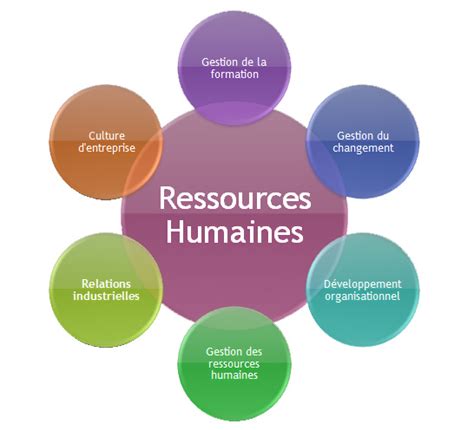 Accueil Ressources Humaines Guides De Recherche Research Guides